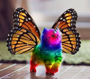 babochka-mutant-xxl.jpg