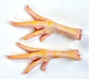 kurinaya-lapka-u-moih-nog-xl.jpg