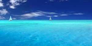 сонник океан или море