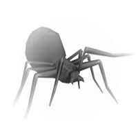 Паук
