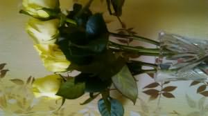 razbitoe-zerkalo-razlitaya-voda-raspahnuvsheesya.jpg