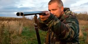 к чему снится убить волка