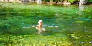сонник зеленая вода
